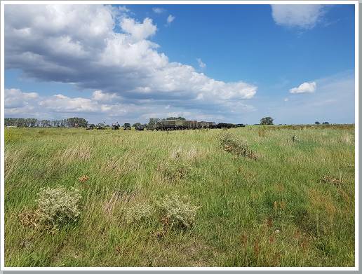 0036_20170804_145508 (Kopie).jpg